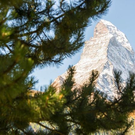 Bed & Breakfast Bijou Zermatt Zewnętrze zdjęcie
