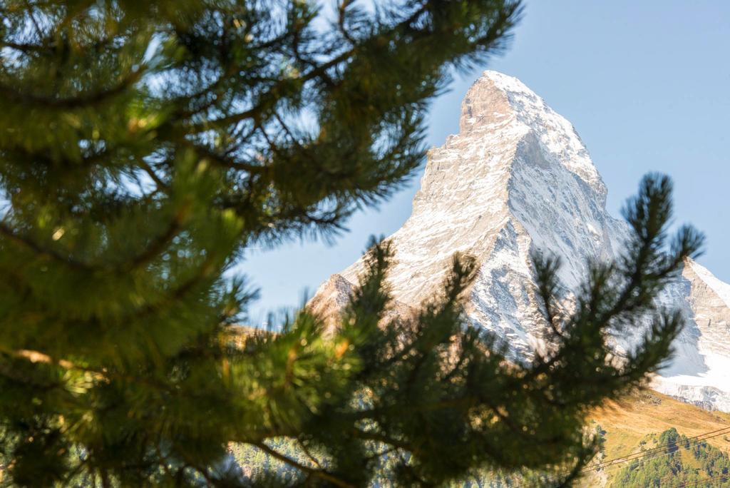 Bed & Breakfast Bijou Zermatt Zewnętrze zdjęcie